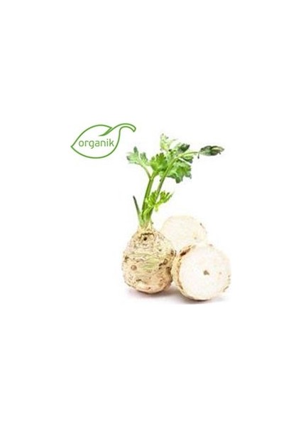 Organik Kereviz kg 1 kg