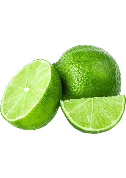 Nadir Ithal Misket Limonu Lime Limonu Tohumu Ekim Seti 3 Limon Tohumu Saksı Toprak Kombin