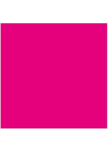 Guaj Boya 16 ml Magenta - Eflatun 397 fiyatları