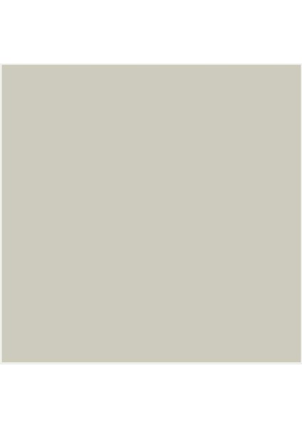 Guaj Boya 16 ml Silver - Gümüş 800 fiyatları