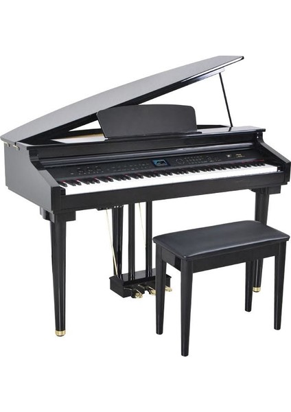Ag-30 Mikro Kuyruklu Siyah Dijital Piyano