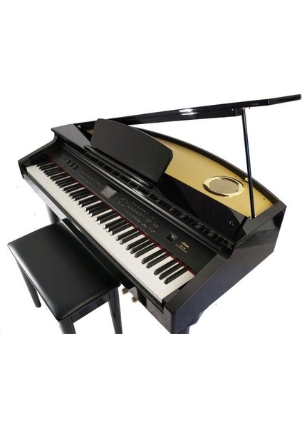 Ag-30 Mikro Kuyruklu Siyah Dijital Piyano fiyatları