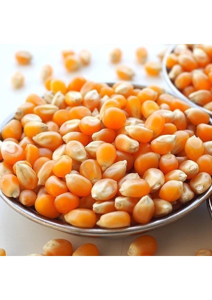 Benimaktar Patlatmalık Cin Mısır Sinema Mısırı 1 kg