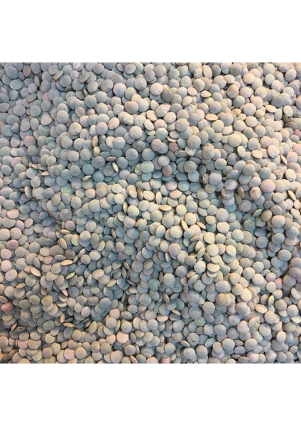 Benimaktar Yeşil Mercimek 1.kalite 1 kg