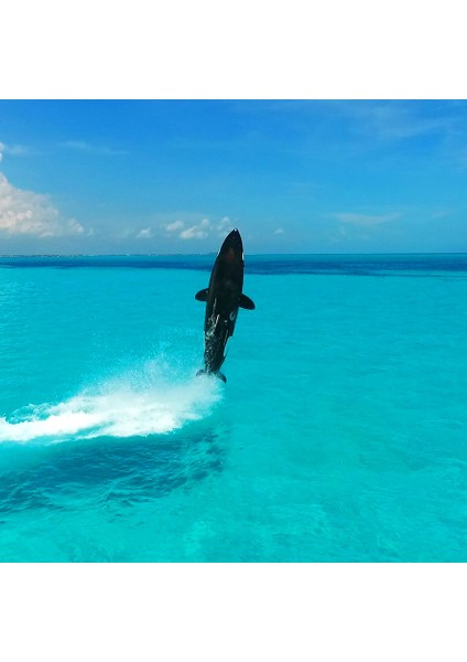 Y Ekstrem Deniz Taşıtı