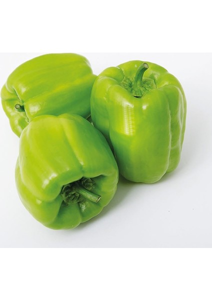 50 Adet Tohum lık Ince Kabuk Tatlı Meşhur Biber Tohum Saksı Toprak fiyatları