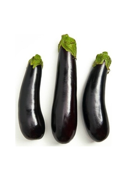 25 Adet Tohum Siyah Kemer Patlıcanı Tohum Patlıcan Tohum Ata Tohum fiyatları