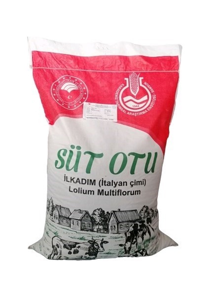 İlk Adım Reygrass Otu (Süt Otu) Tohumu 5  kg Sertifikalı