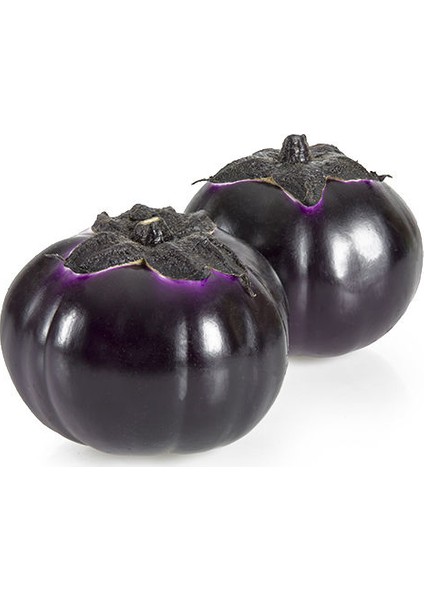 Elma Patlıcanı Tohumu 10 Tohum Patlıcan Tohumu fiyatları