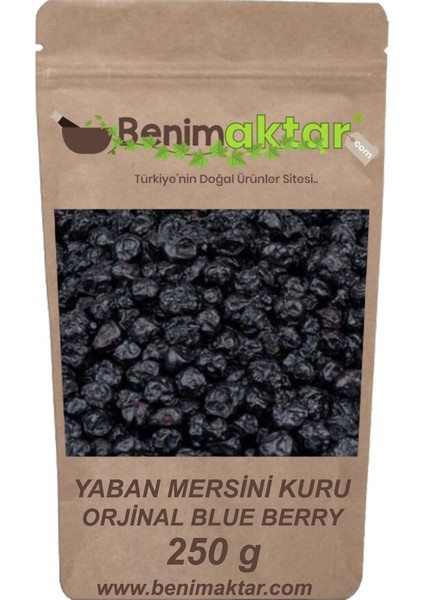 Benimaktar Yaban Mersini Blueberry 250 gr