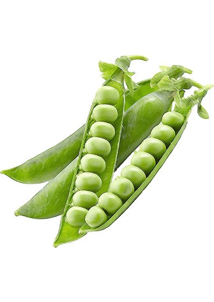 Bezelye Tohumu Ekim Seti 15 Tohum Saksı Toprak Kombin