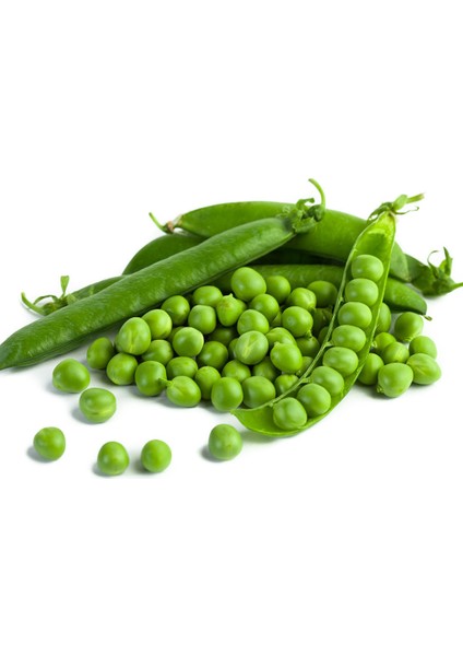 Bezelye Tohumu Ekim Seti 15 Tohum Saksı Toprak Kombin fırsatları