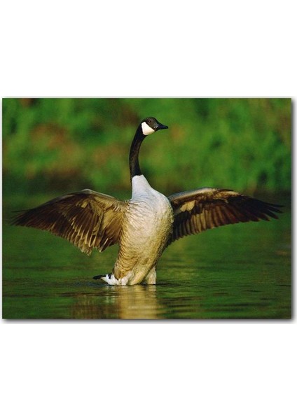 Cakatablo Ahşap Tablo Gölde Kanatlarını Açmış Kaz