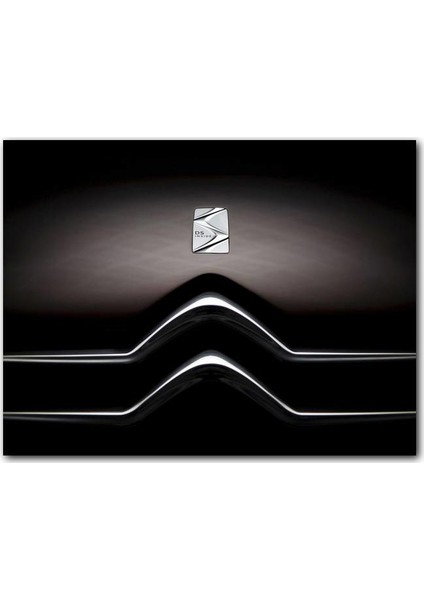 Cakatablo Ahşap Tablo Citroen Ds Inside Logo