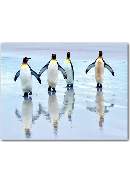 Cakatablo Ahşap Tablo İmparator Penguenler