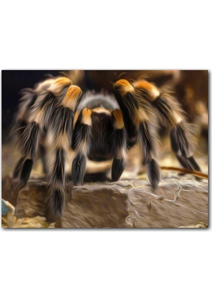 Cakatablo Ahşap Tablo Tarantula Dijital Çizim