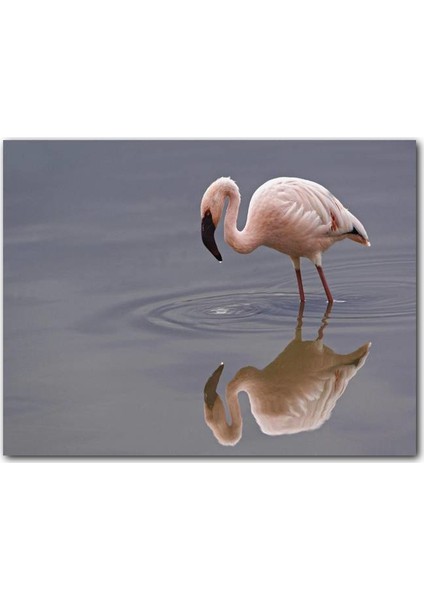 CakatabloAhşap Tablo Gölde Avlanan Flamingo