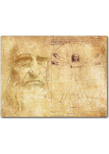 Cakatablo Ahşap Tablo Leonardo Da Vinci ve Vitruvius Adamı