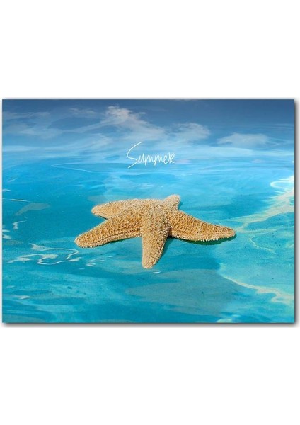 Cakatablo Ahşap Tablo Summer Yazılı Deniz Yıldızı ve Turkuaz Sular