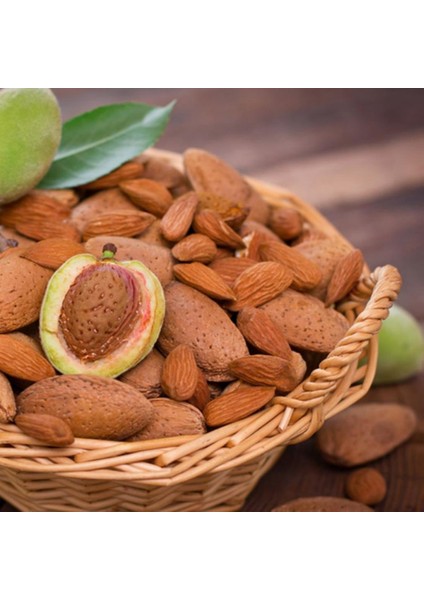 Evve Bahçe Özel Seçim Ilıman Sahil Bölgeler Için Uygun Olan Aşılı Badem Fidanı Paketi