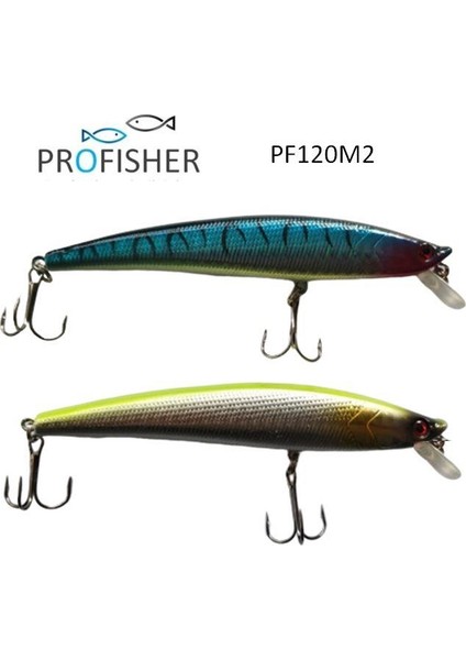 Profısher 2 Renk Set 2 Kanca Sahte Balık Yem 10 gr 11,5 cm Arrow