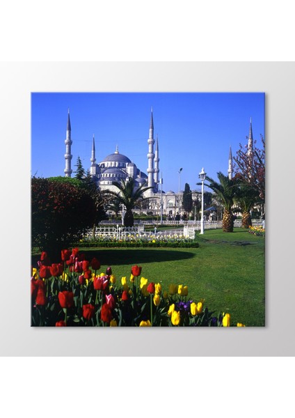 Sultanahmet Camii Tablo