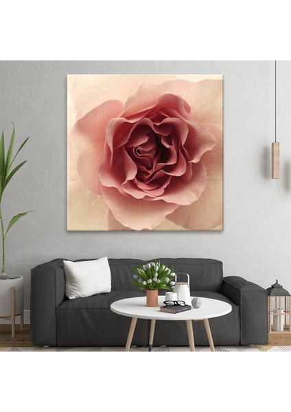 Pembe Gül Tablo