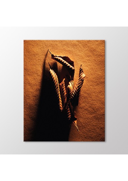 Kurumuş Yapraklar Tablo