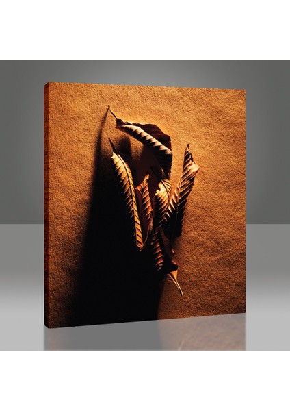 Kurumuş Yapraklar Tablo modelleri