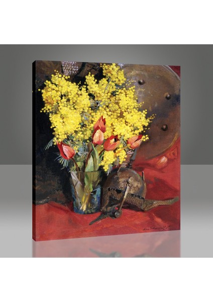 Mimozalar Tablo modelleri