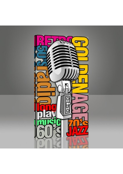 Vintage Microphone Tablo modelleri