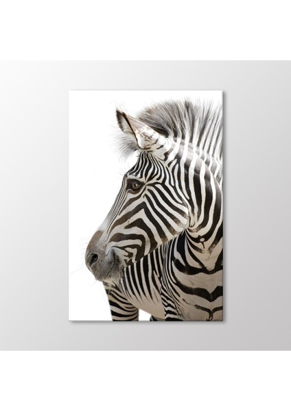 Zebra Tablo