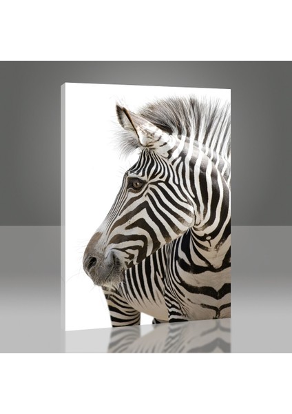 Zebra Tablo