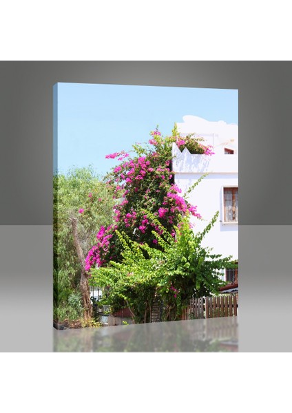 Bodrum Evleri Tablo
