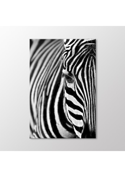 Zebra Tablo