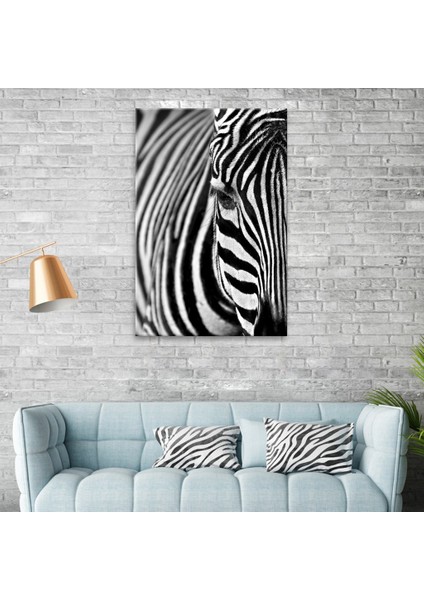 Zebra Tablo fiyatları