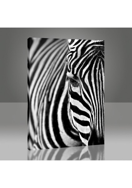 Zebra Tablo modelleri