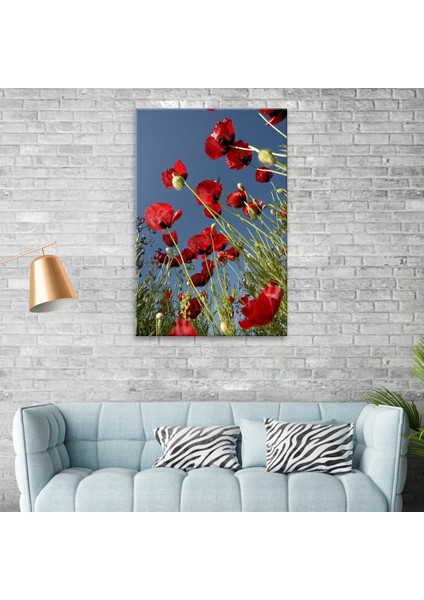 Gelincikler Tablo fiyatları