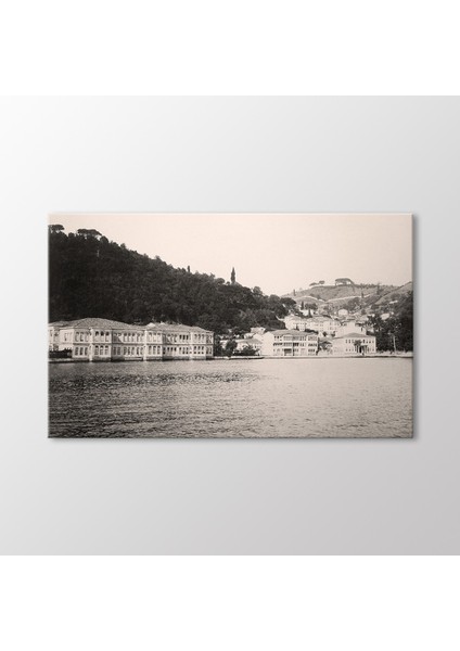 Ali Paşa Yalısı, 1880 Tablo