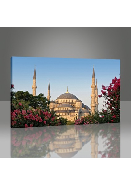 Sultanahmet Camii Tablo