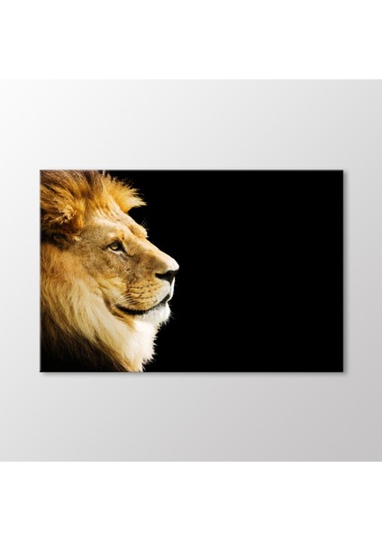 Aslan Tablo