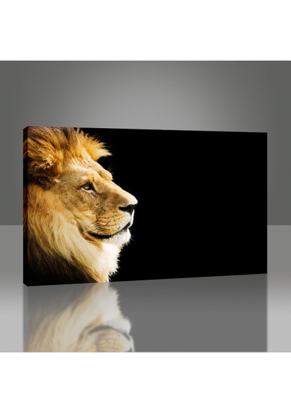 Aslan Tablo