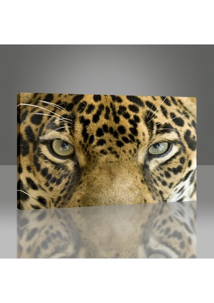 Leopar Tablo modelleri