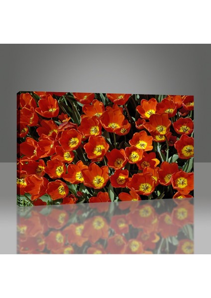 Arty Tablo Kırmızı Laleler Tablo