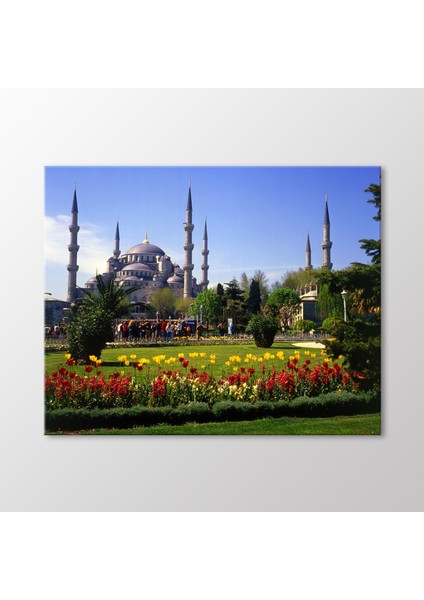 Arty Tablo Sultanahmet Camii Tablo