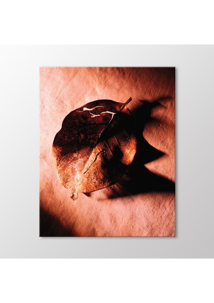 Kurumuş Yaprak Tablo