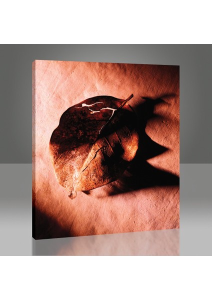 Kurumuş Yaprak Tablo modelleri