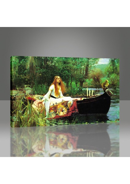 Shalott Leydisi, 1888 Tablo