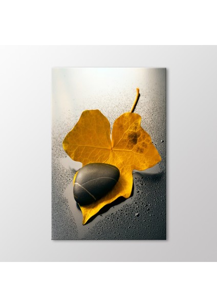 Çakıl ve Yaprak Tablo