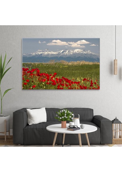 Konya Tablo fiyatları